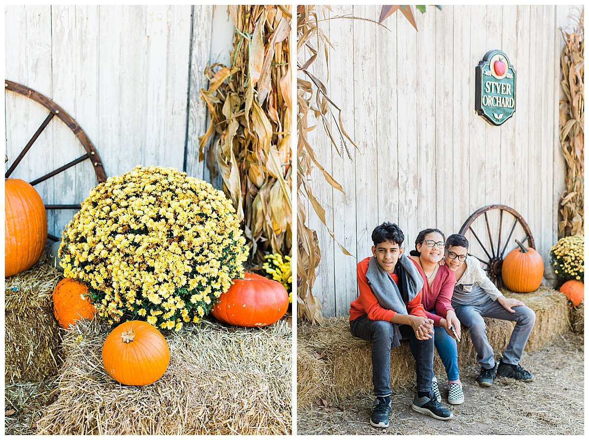Apple and Pumpkin Picking at Styer Orchid Farms, PA_0295.jpg